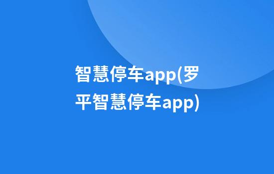 智慧停车app(罗平智慧停车app)