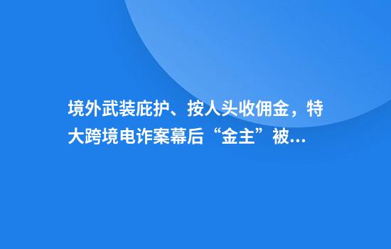 境外武装庇护、按人头收佣金，特大跨境电诈案幕后“金主”被判无期