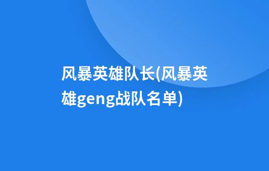 风暴英雄队长(风暴英雄geng战队名单)