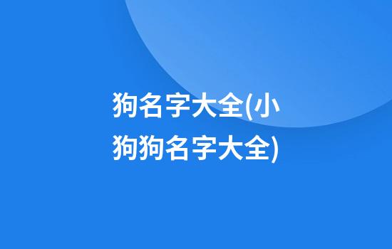 狗名字大全(小狗狗名字大全)