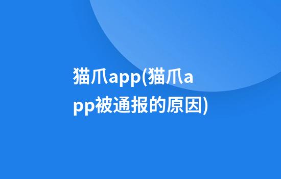 猫爪app(猫爪app被通报的原因)