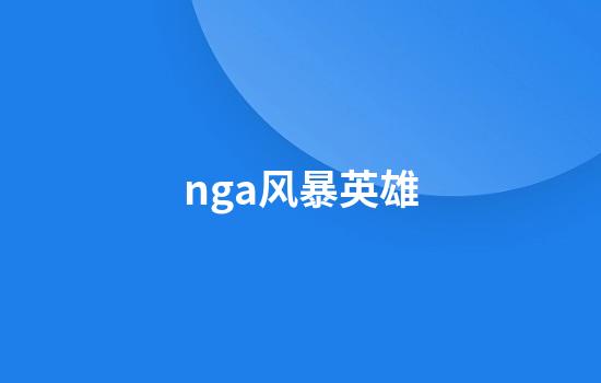 nga风暴英雄