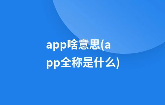 app啥意思(app全称是什么)