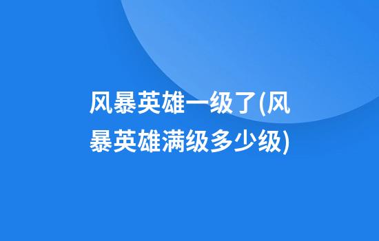 风暴英雄一级了(风暴英雄满级多少级)