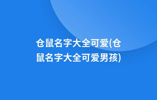 仓鼠名字大全可爱(仓鼠名字大全可爱男孩)