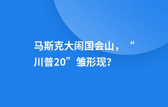 马斯克大闹国会山，“川普2.0”雏形现？